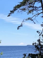 Salish 4